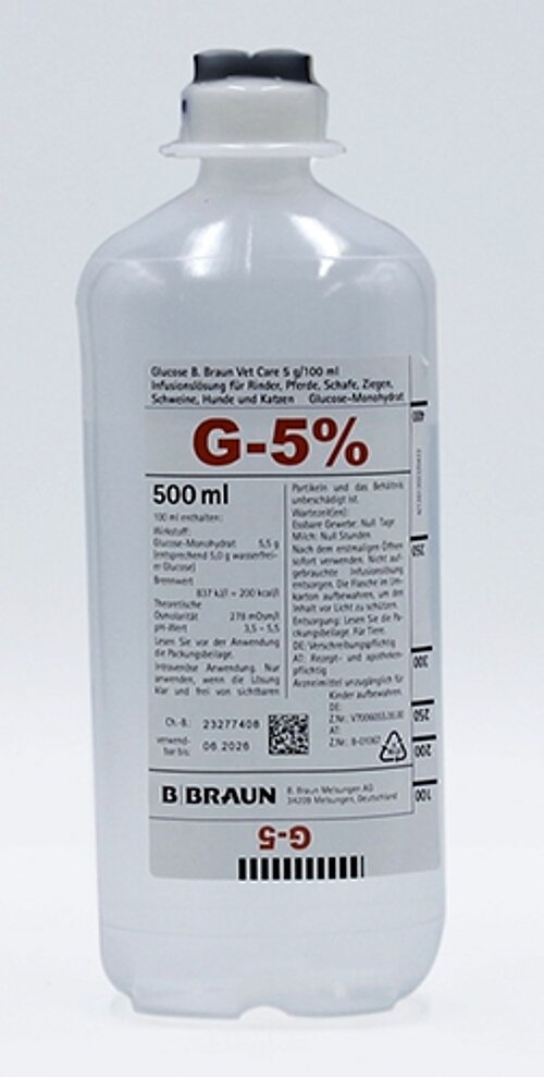 Glucose-Lösung 5 % ad us. vet.