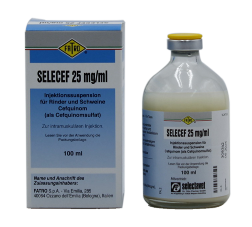 Selecef 25 mg/ml Injektionssuspension