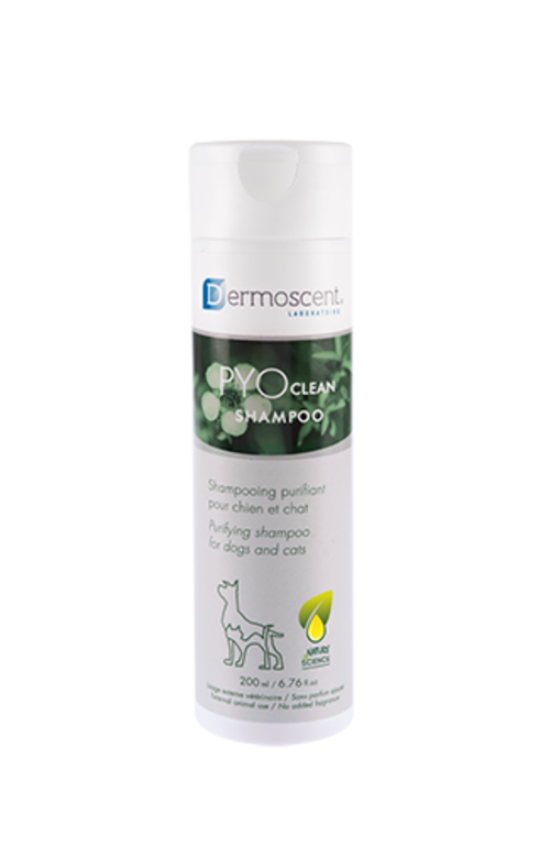PYOclean® Shampoo