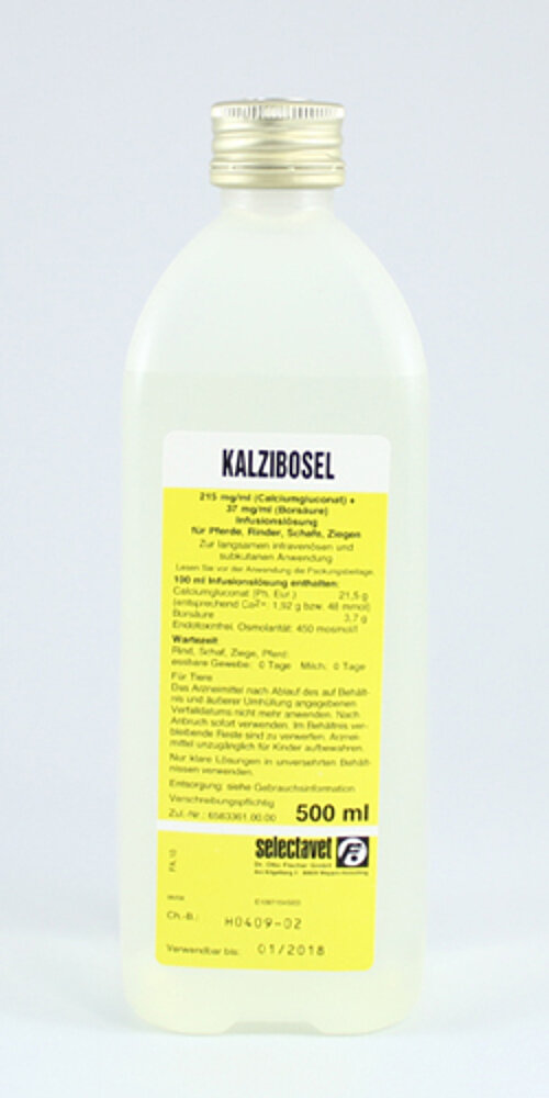 Kalzibosel