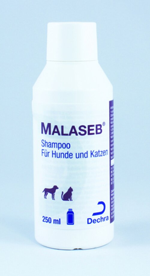 Malaseb Shampoo