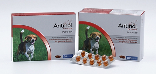 Antinol für Hunde