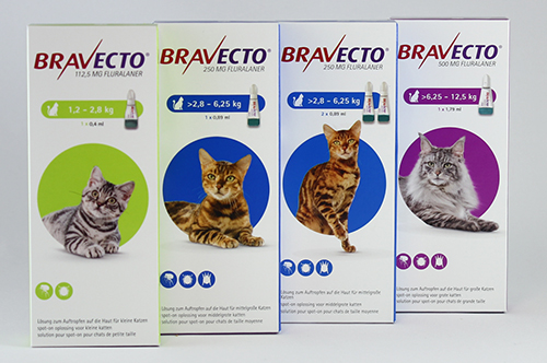 Bravecto Spot on 112,5 mg Katzen 1,2-2,8 kg
