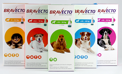 Bravecto-Spot on 250 mg Hunde > 4,5 - 10 kg