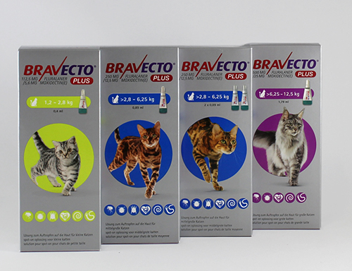 Bravecto Plus Spot on 112,5 mg/ 5,6 mg Katzen 1,2-2,8 kg