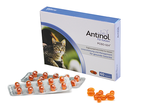 Antinol für Katzen