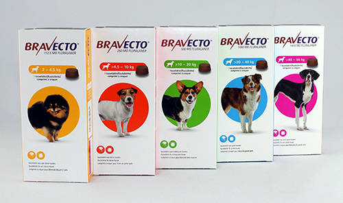 Bravecto-Kautabletten 1000 mg Hunde > 20 - 40 kg
